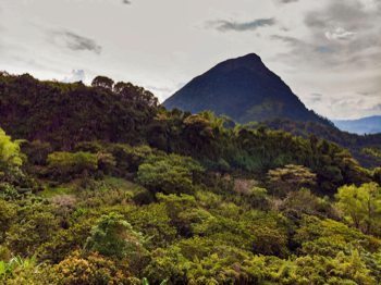  Cerro Tusa Venecia Ant. 