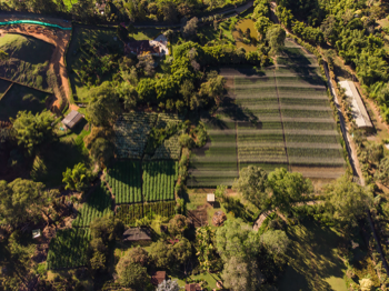  Hacienda de Floricultivo Quillacinga El Carmen Antioquia 