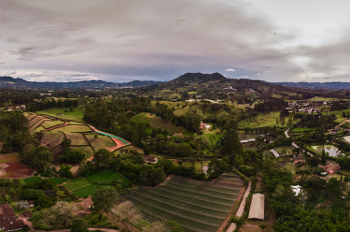  Hacienda de Floricultivo Quillacinga El Carmen Antioquia 